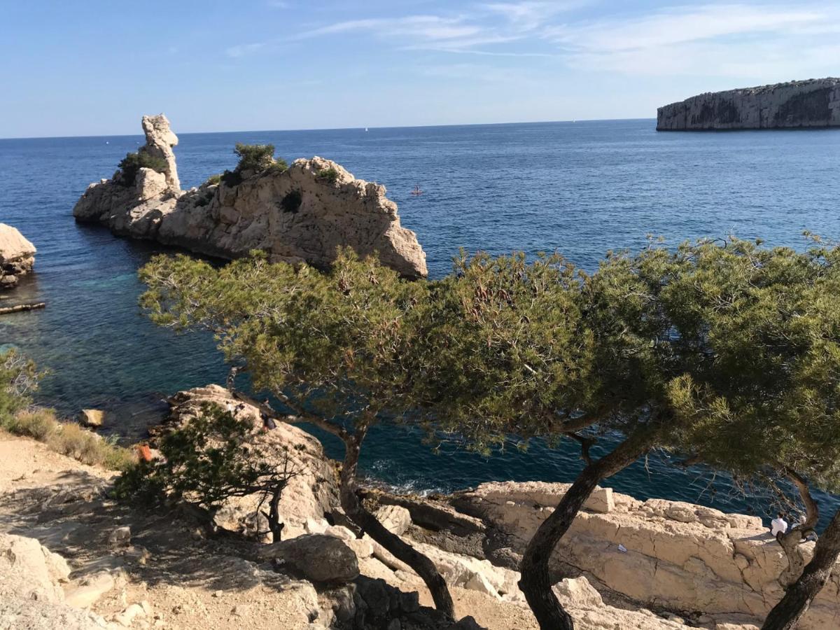 Bas De Villa Jardin Plein Sud Proche Mer Clim-Wifi Saint-Mandrier-sur-Mer Exterior photo