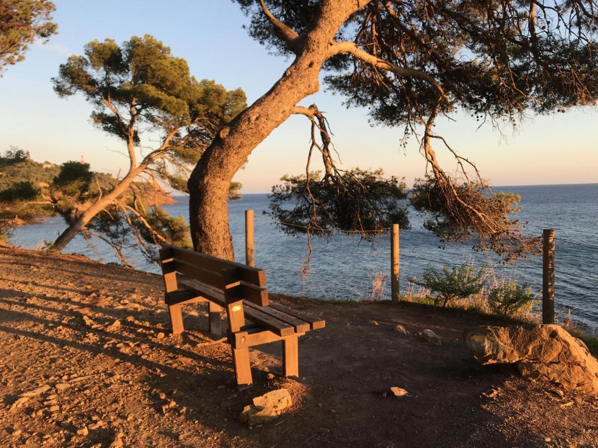 Bas De Villa Jardin Plein Sud Proche Mer Clim-Wifi Saint-Mandrier-sur-Mer Exterior photo